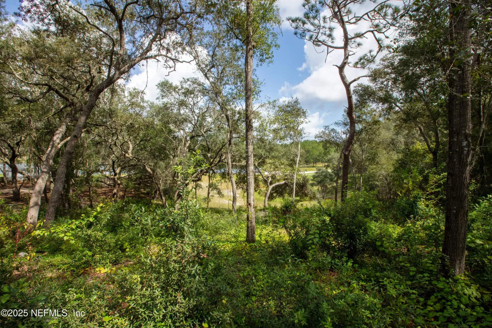 6956 Deer Springs Road Keystone Heights FL 32656