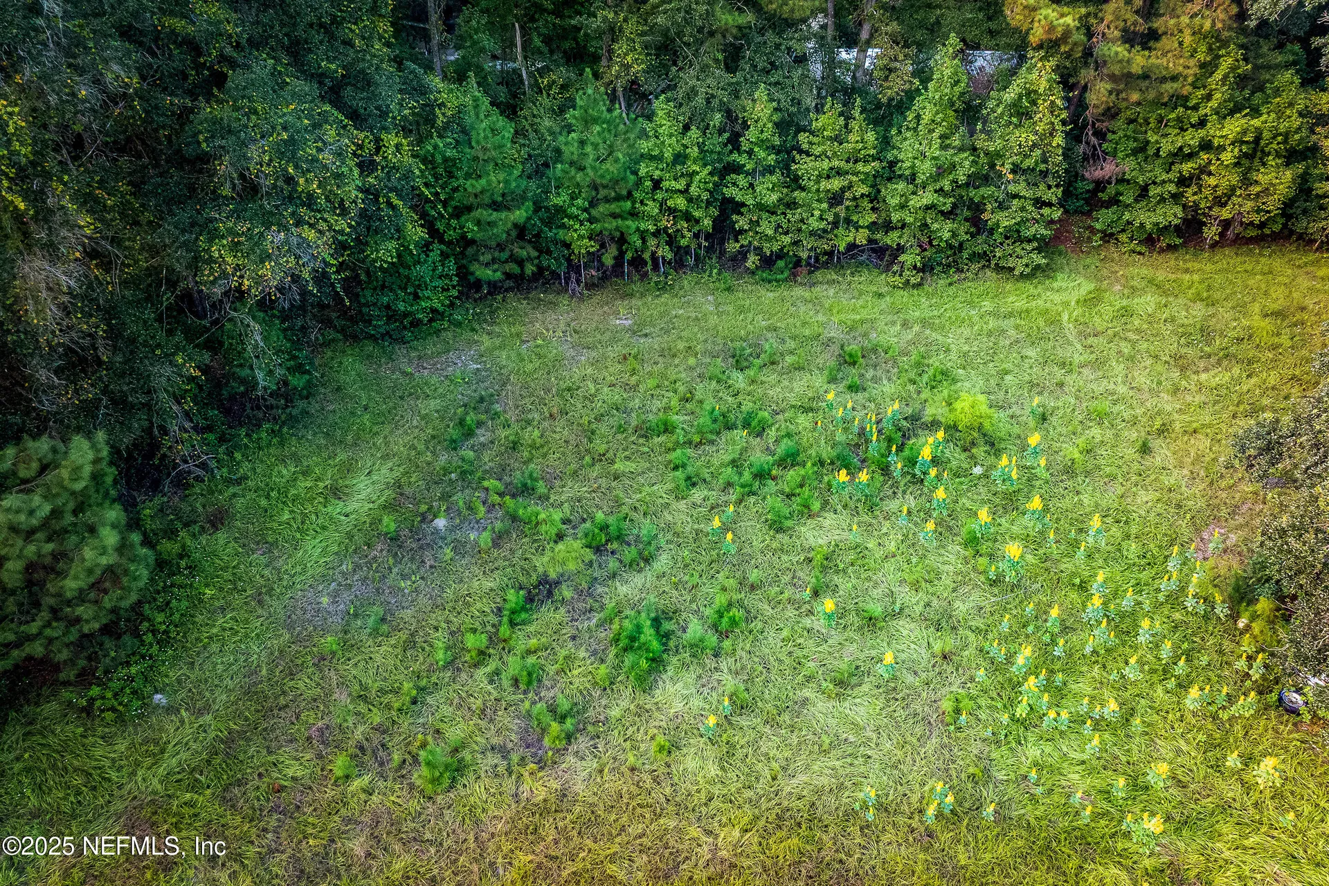 6300 J & M Ranch Road Macclenny FL 32063