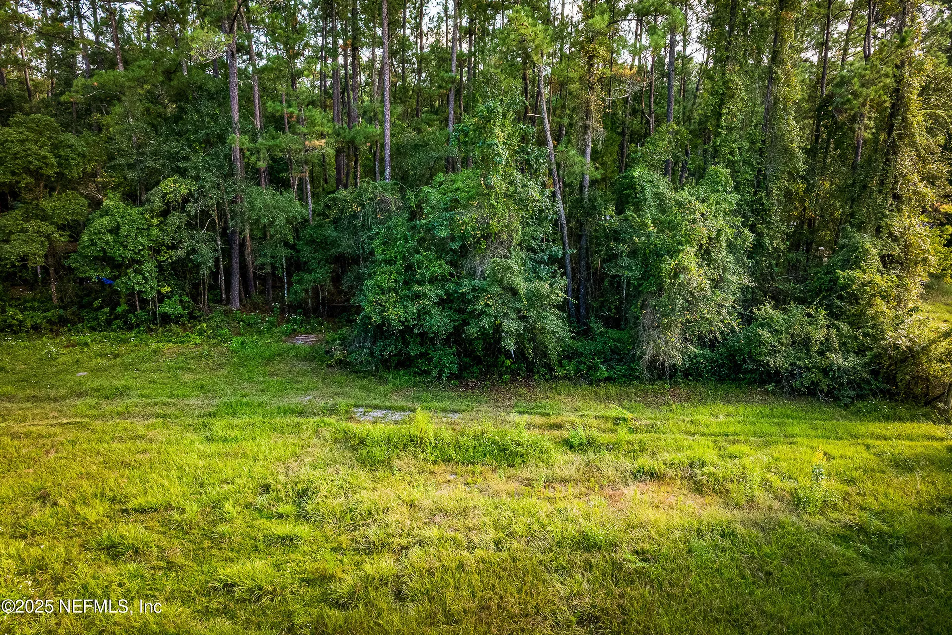 6300 J & M Ranch Road Macclenny FL 32063