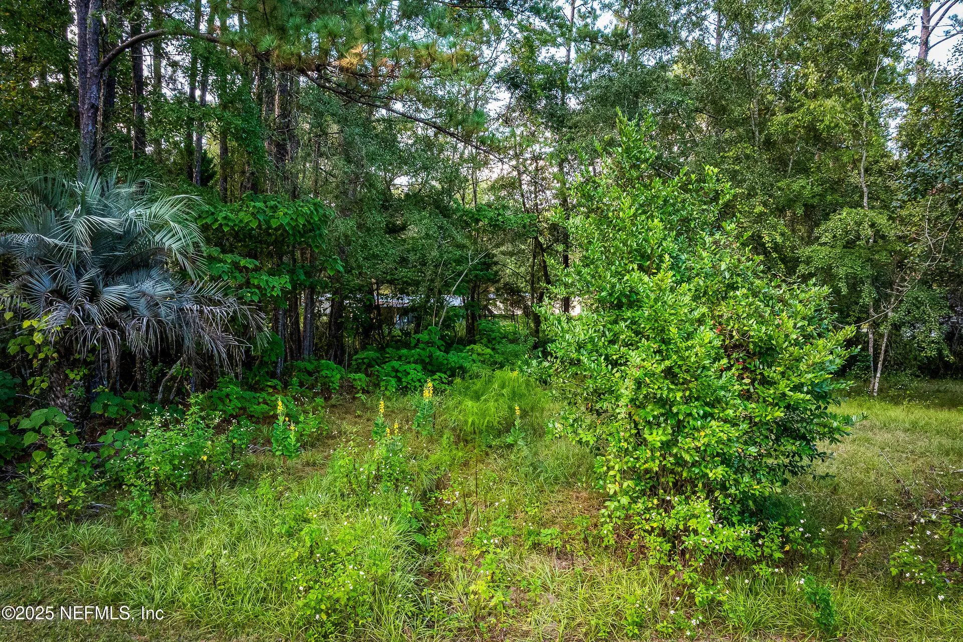 6300 J & M Ranch Road Macclenny FL 32063