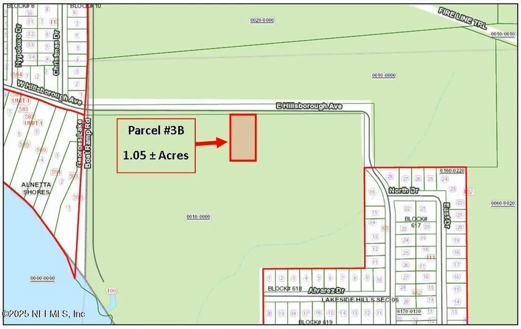 Parcel 3b E Hillsborough Avenue Florahome FL 32140