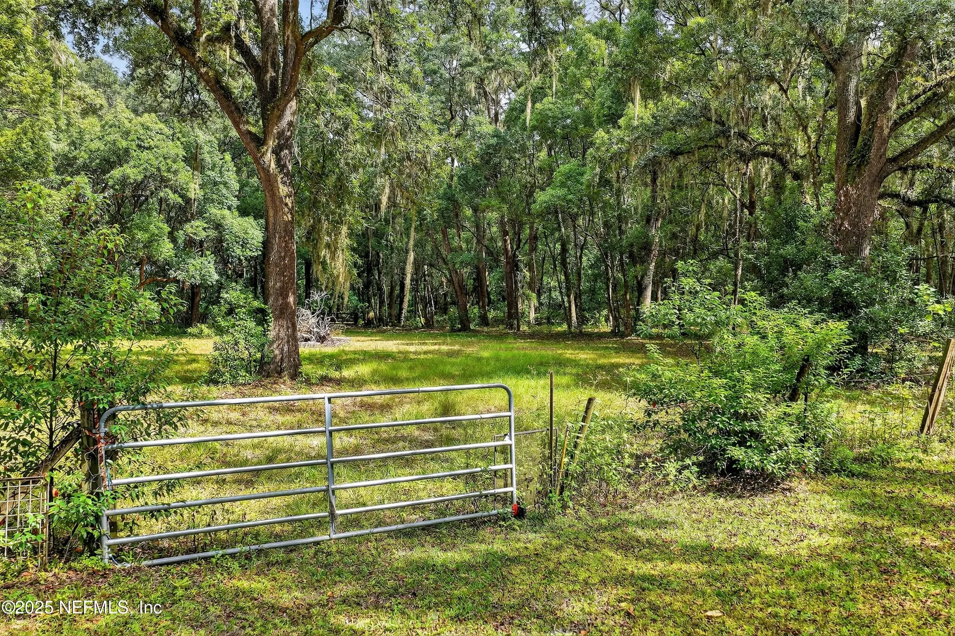 6049 Taylor Road Middleburg FL 32068