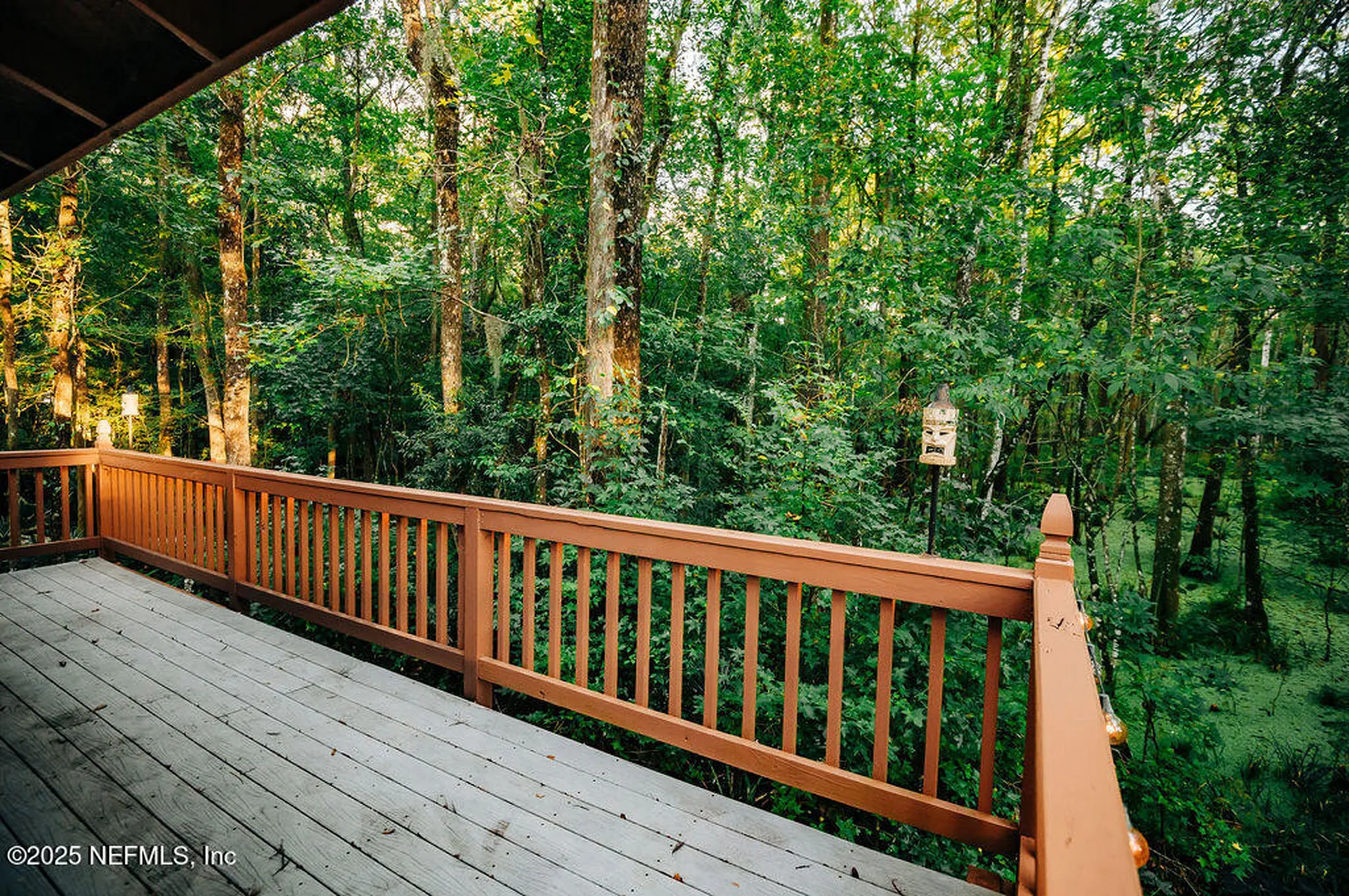 3249 Wilderness Circle Middleburg FL 32068