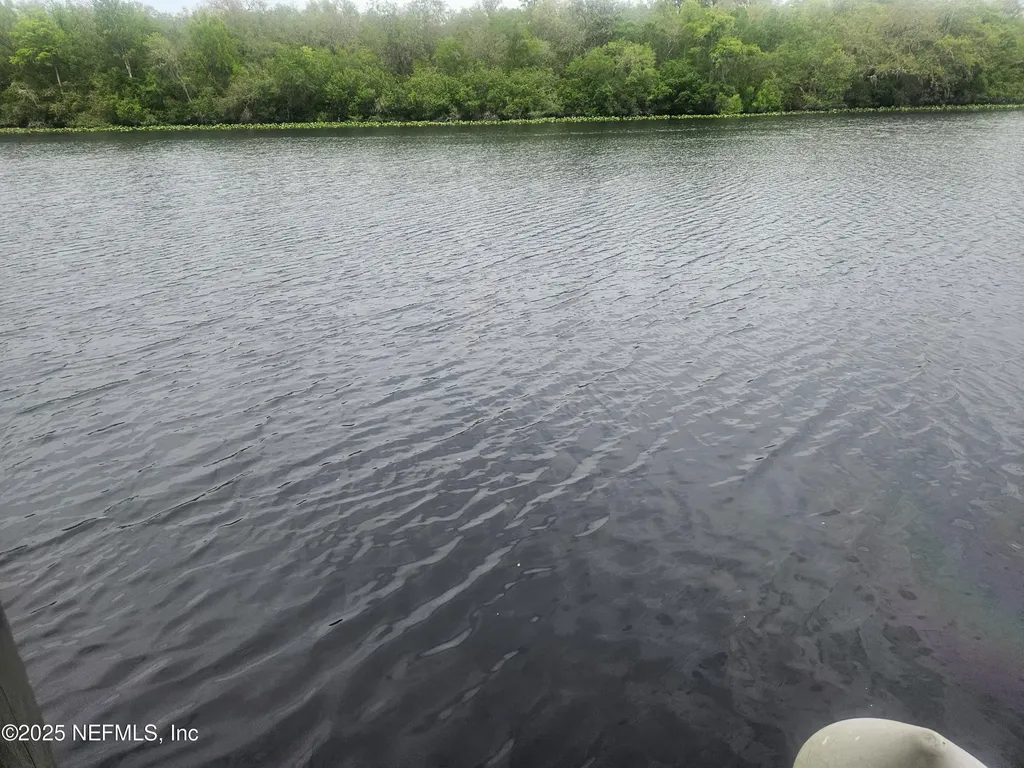 435 Lake Asbury Drive Green Cove Springs FL 32043