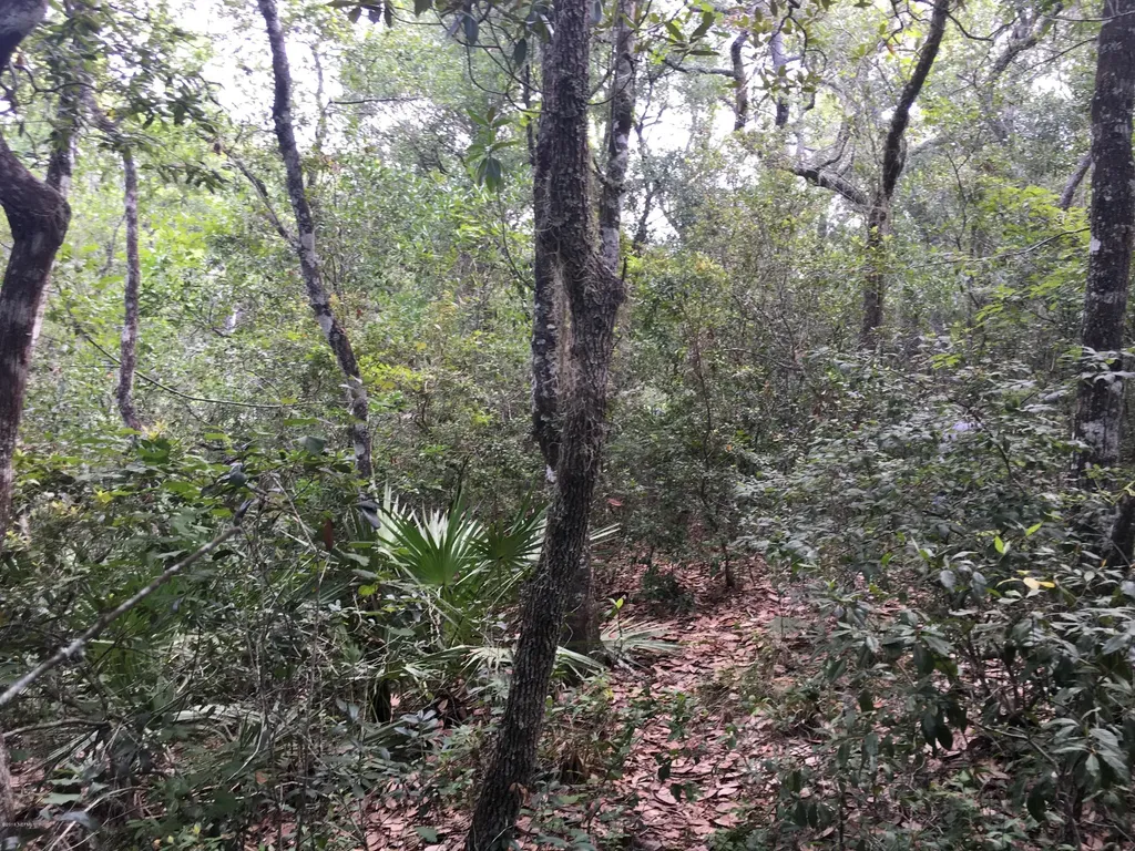 00 Black Creek Tract Middleburg FL 32068