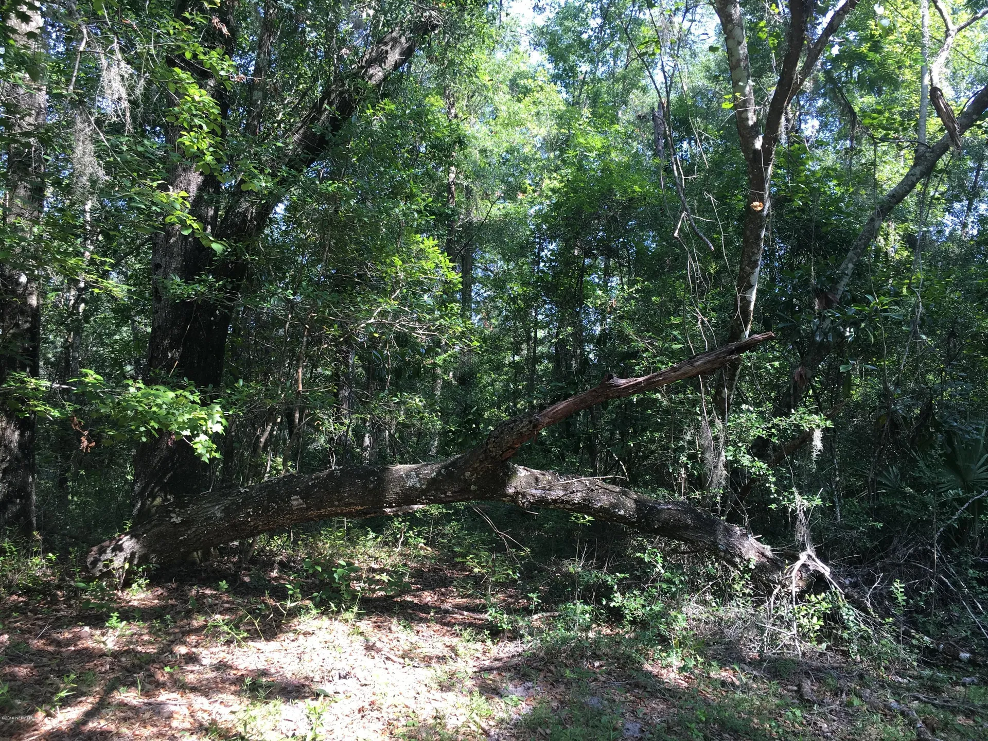 00 Black Creek Tract Middleburg FL 32068