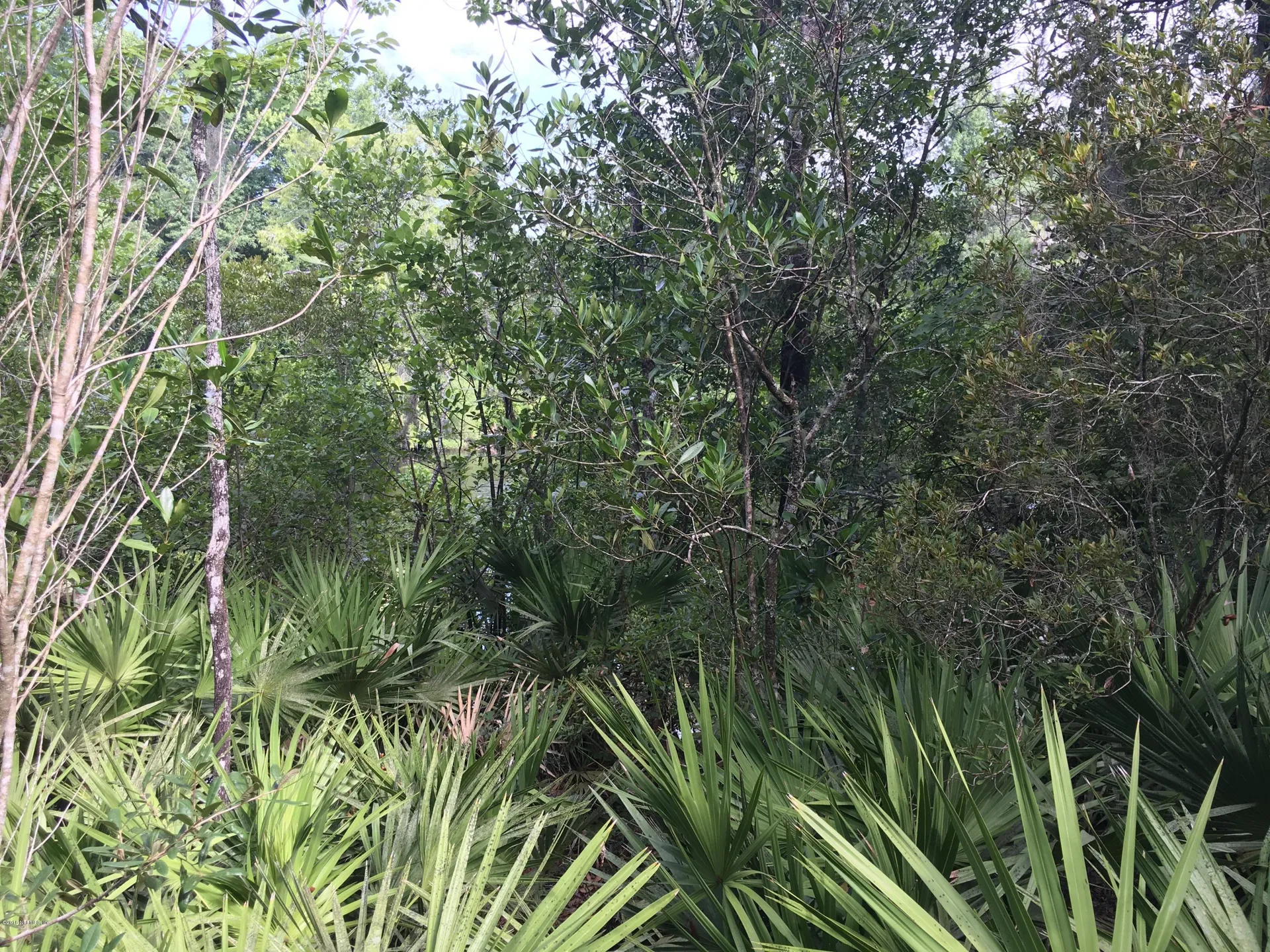 00 Black Creek Tract Middleburg FL 32068
