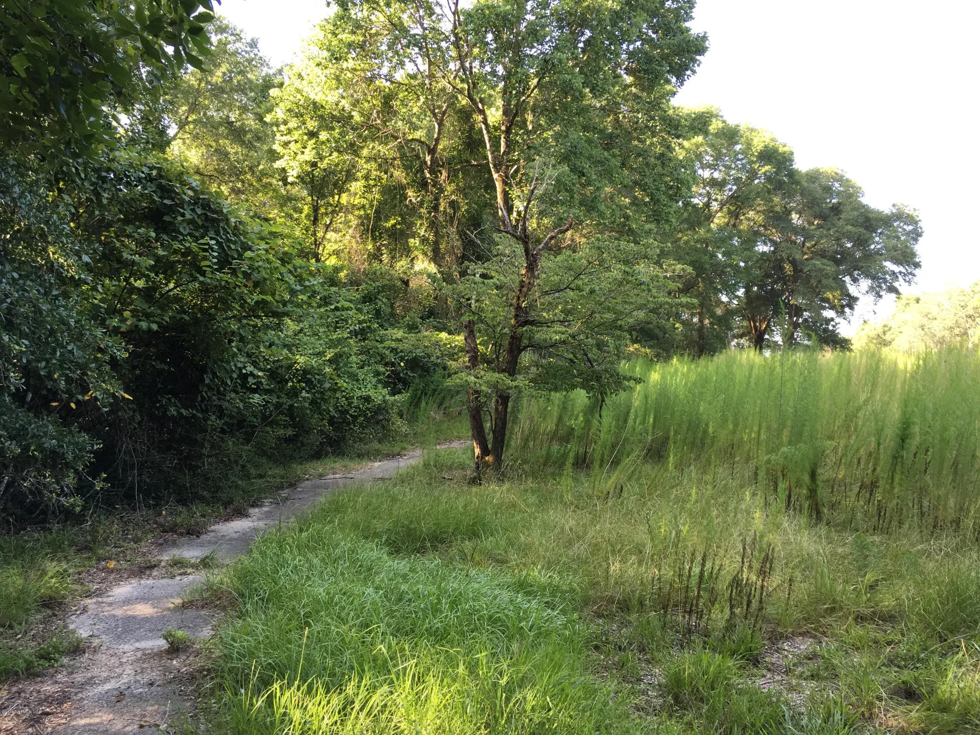 00 Black Creek Tract Middleburg FL 32068