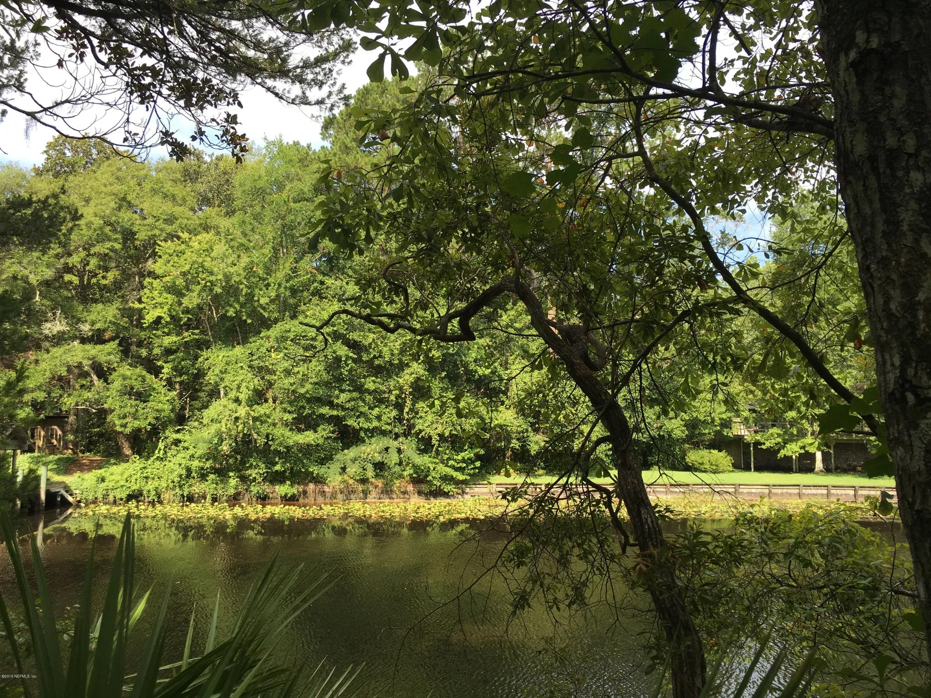 00 Black Creek Tract Middleburg FL 32068