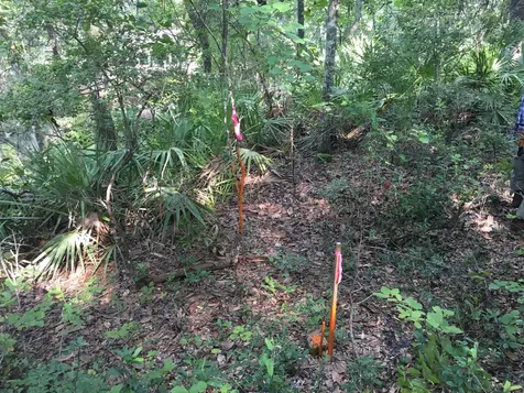 00 Black Creek Tract Middleburg FL 32068