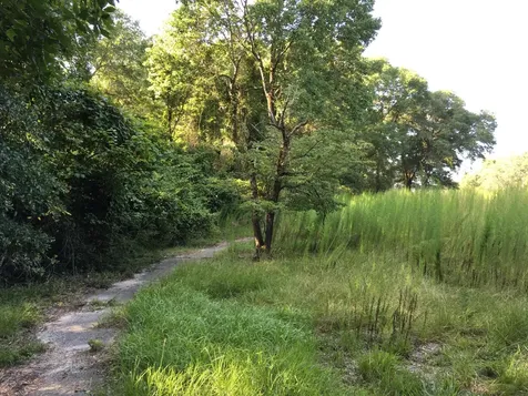 00 Black Creek Tract Middleburg FL 32068