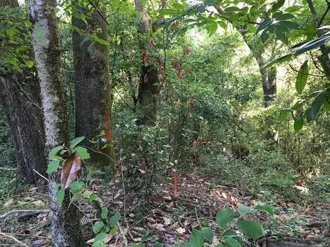 00 Black Creek Tract Middleburg FL 32068