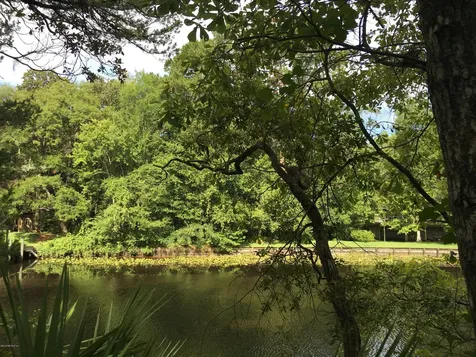 00 Black Creek Tract Middleburg FL 32068