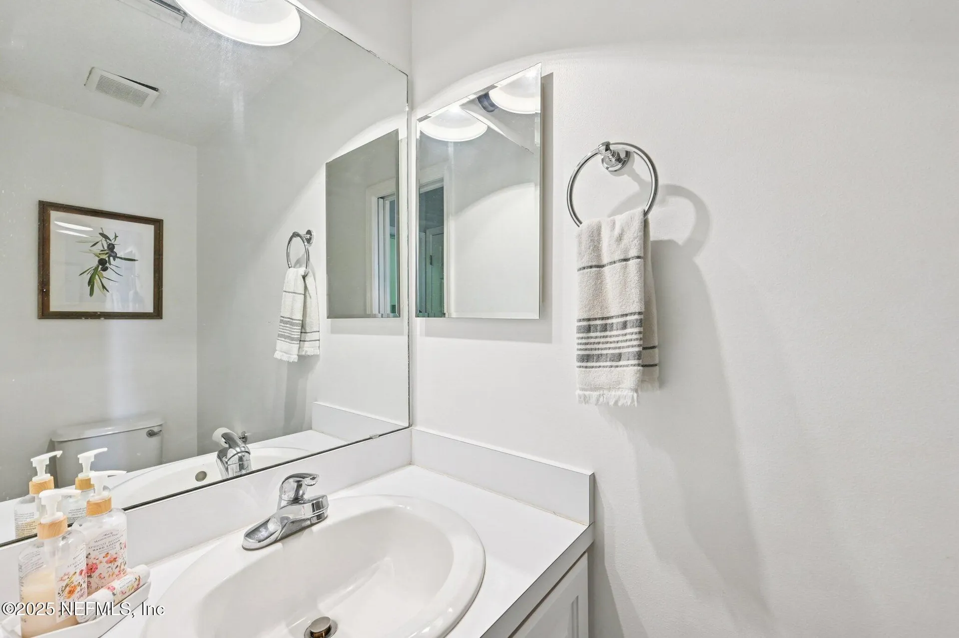 2300 Spring Hill Court Fleming Island FL 32003