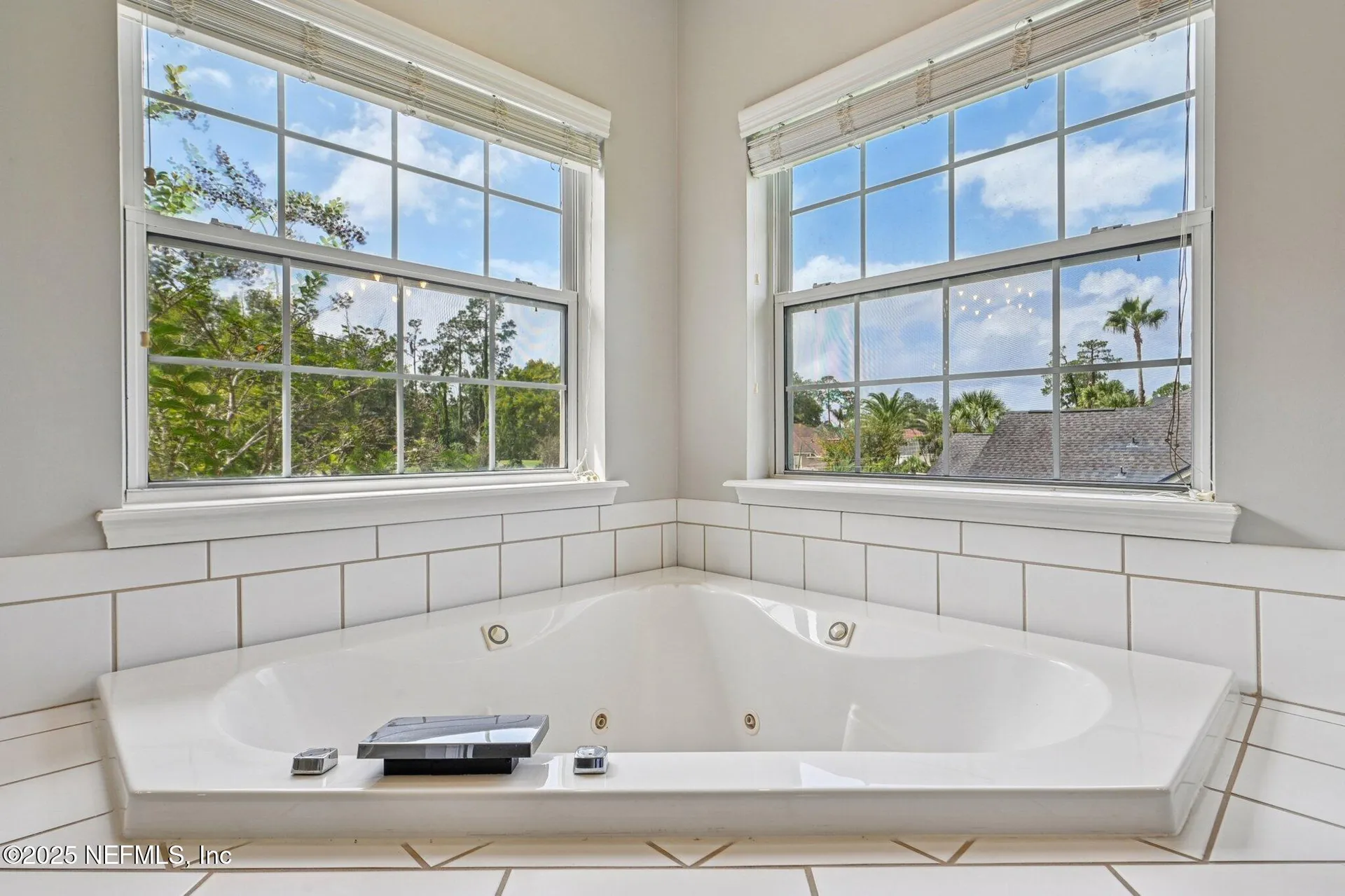 2300 Spring Hill Court Fleming Island FL 32003