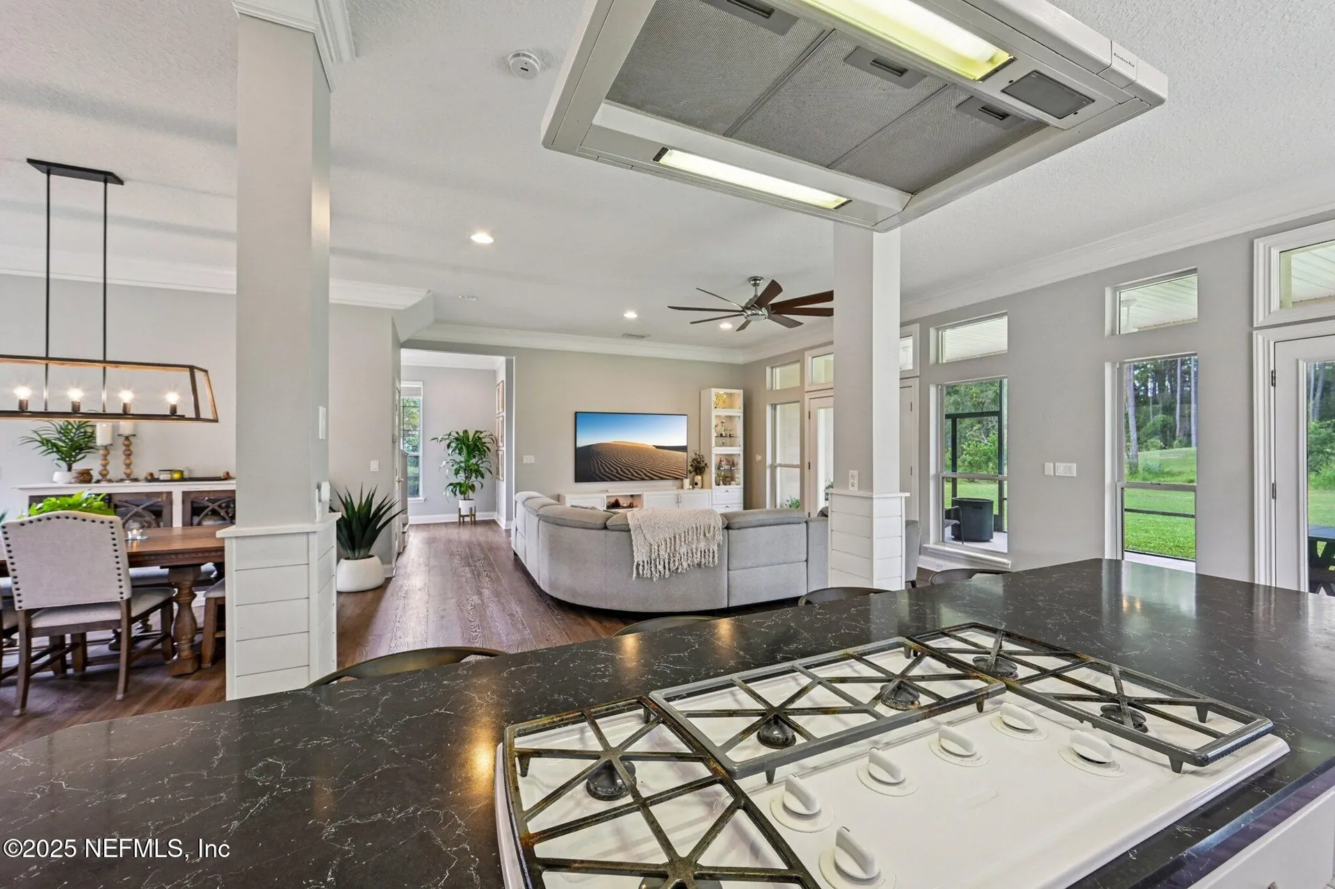 2300 Spring Hill Court Fleming Island FL 32003