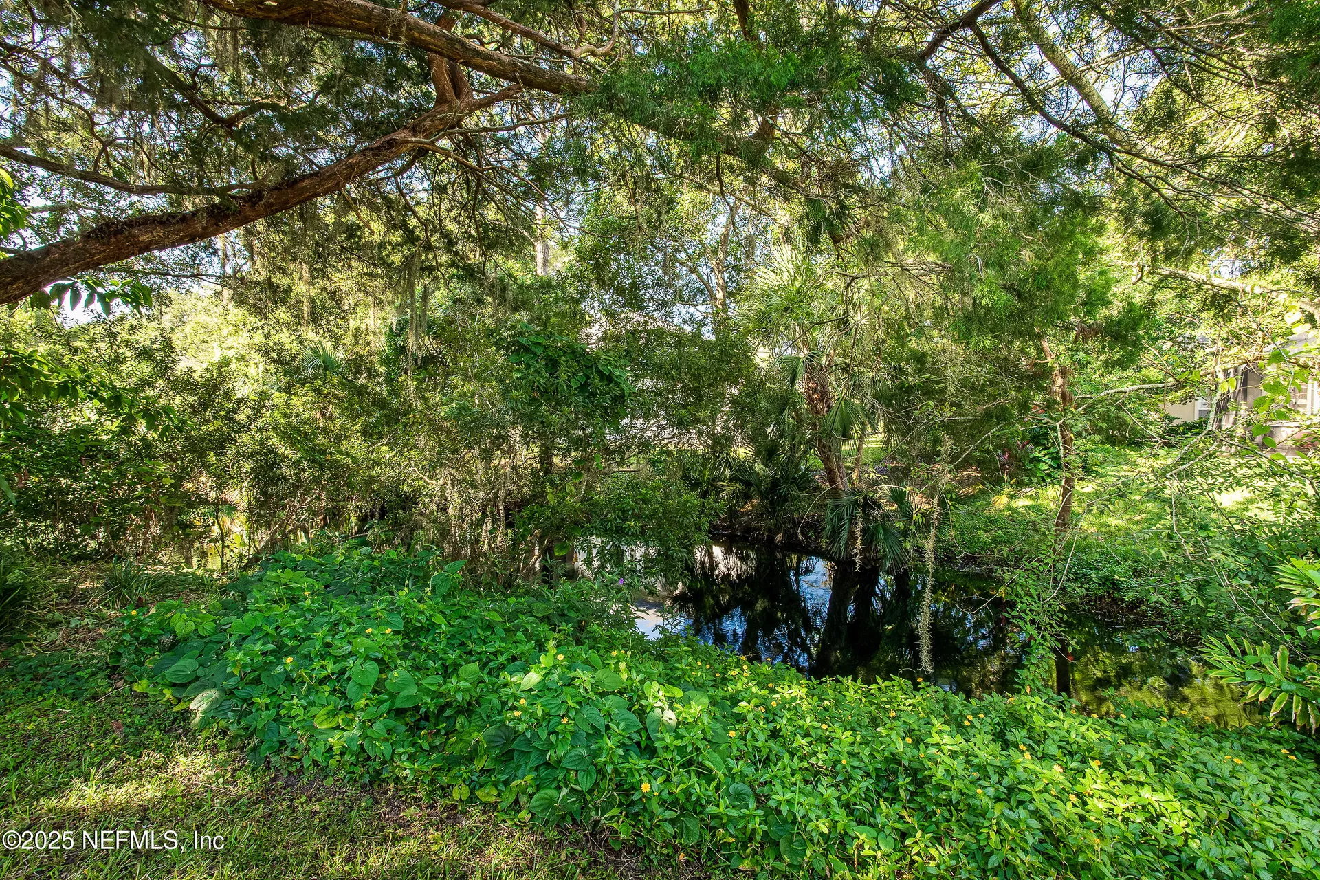 1351 Mission San Carlos Drive Fernandina Beach FL 32034