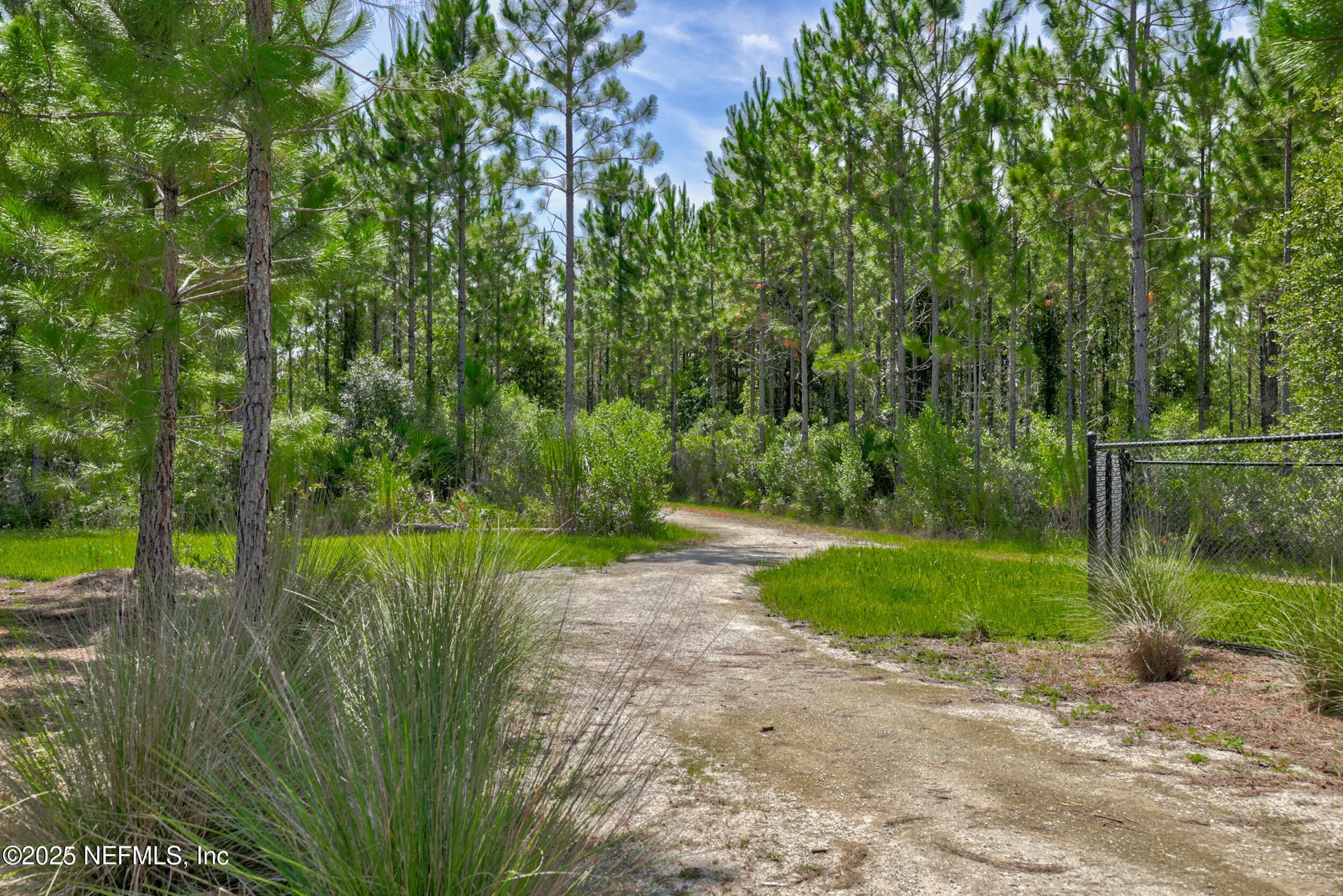 61 Bramble Court St. Augustine FL 32092