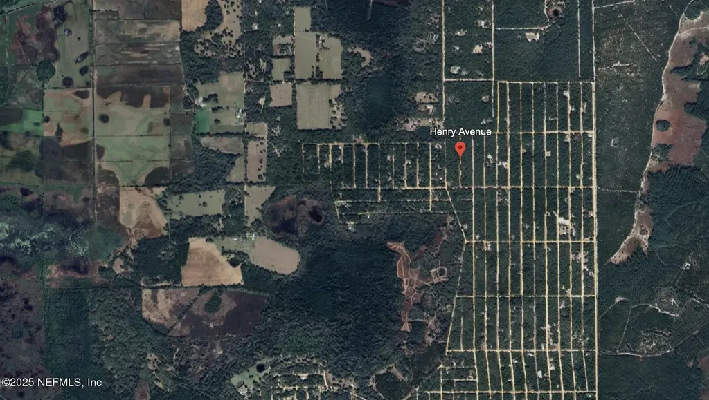 00 Henry Avenue Avenue Interlachen FL 32148