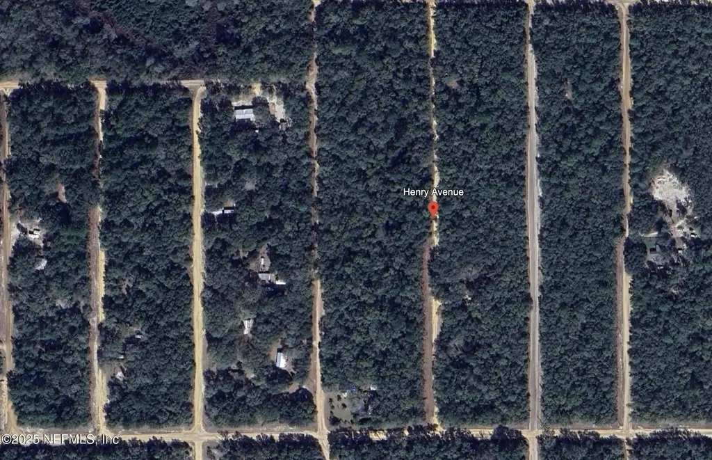 00 Henry Avenue Avenue Interlachen FL 32148