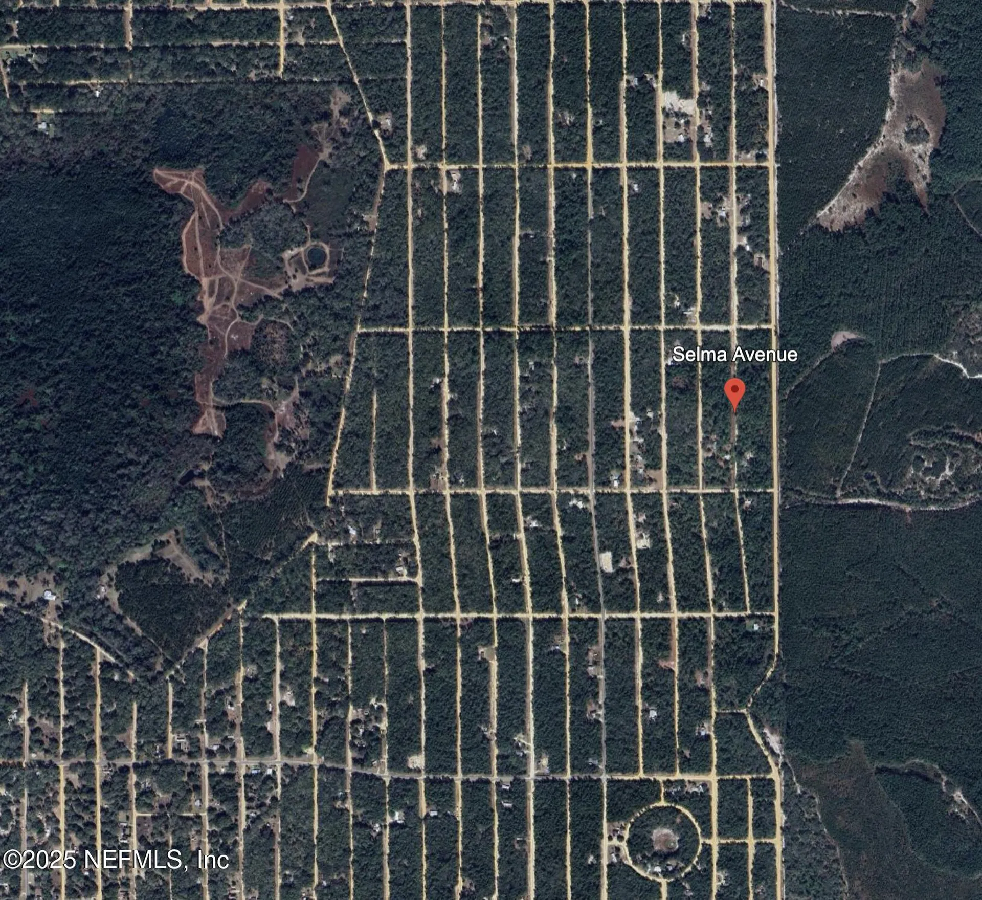 00 Selma Avenue Interlachen FL 32148
