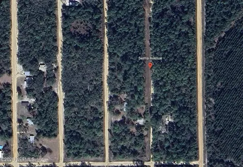 00 Selma Avenue Interlachen FL 32148