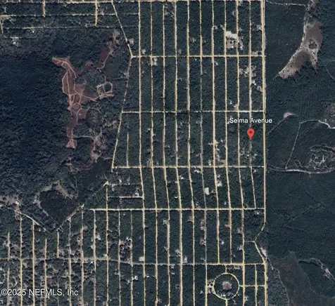 00 Selma Avenue Interlachen FL 32148
