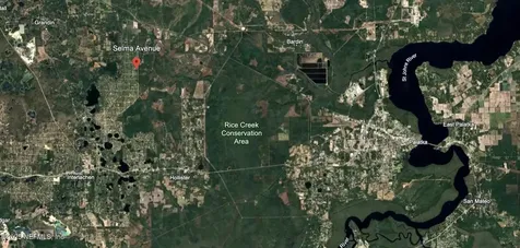 00 Selma Avenue Interlachen FL 32148