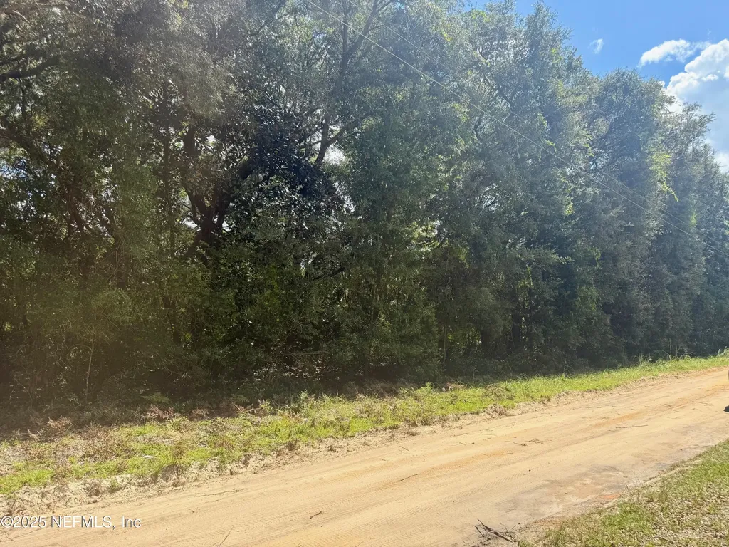 Xxx Nettles Road Florahome FL 32140