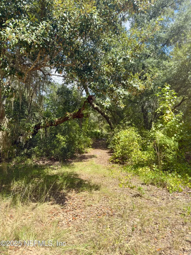 Xxx Nettles Road Florahome FL 32140