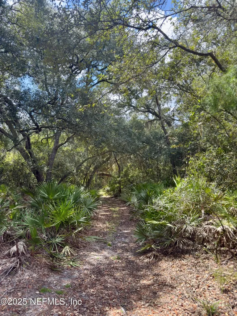 Xxx Nettles Road Florahome FL 32140
