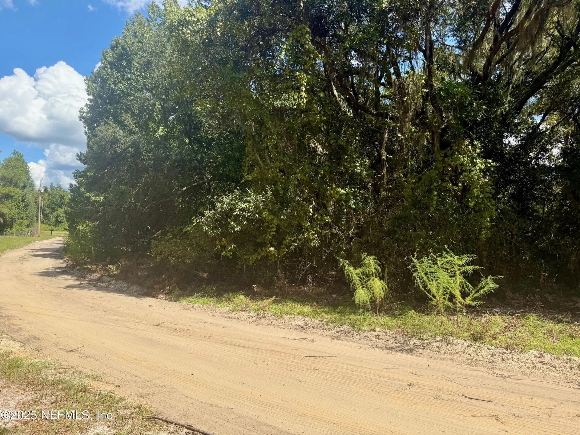 Xxx Nettles Road Florahome FL 32140