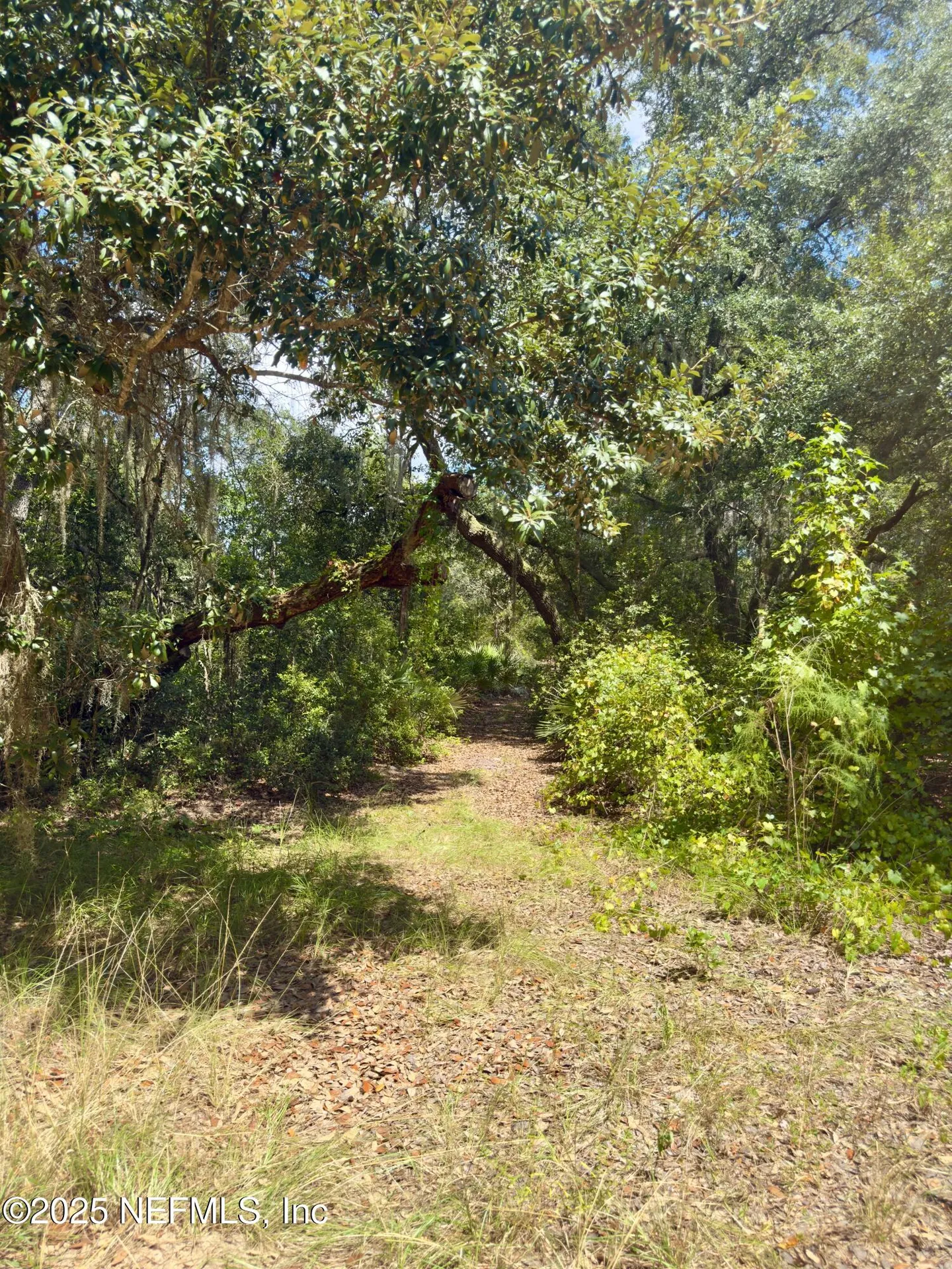 Xxx Nettles Road Florahome FL 32140