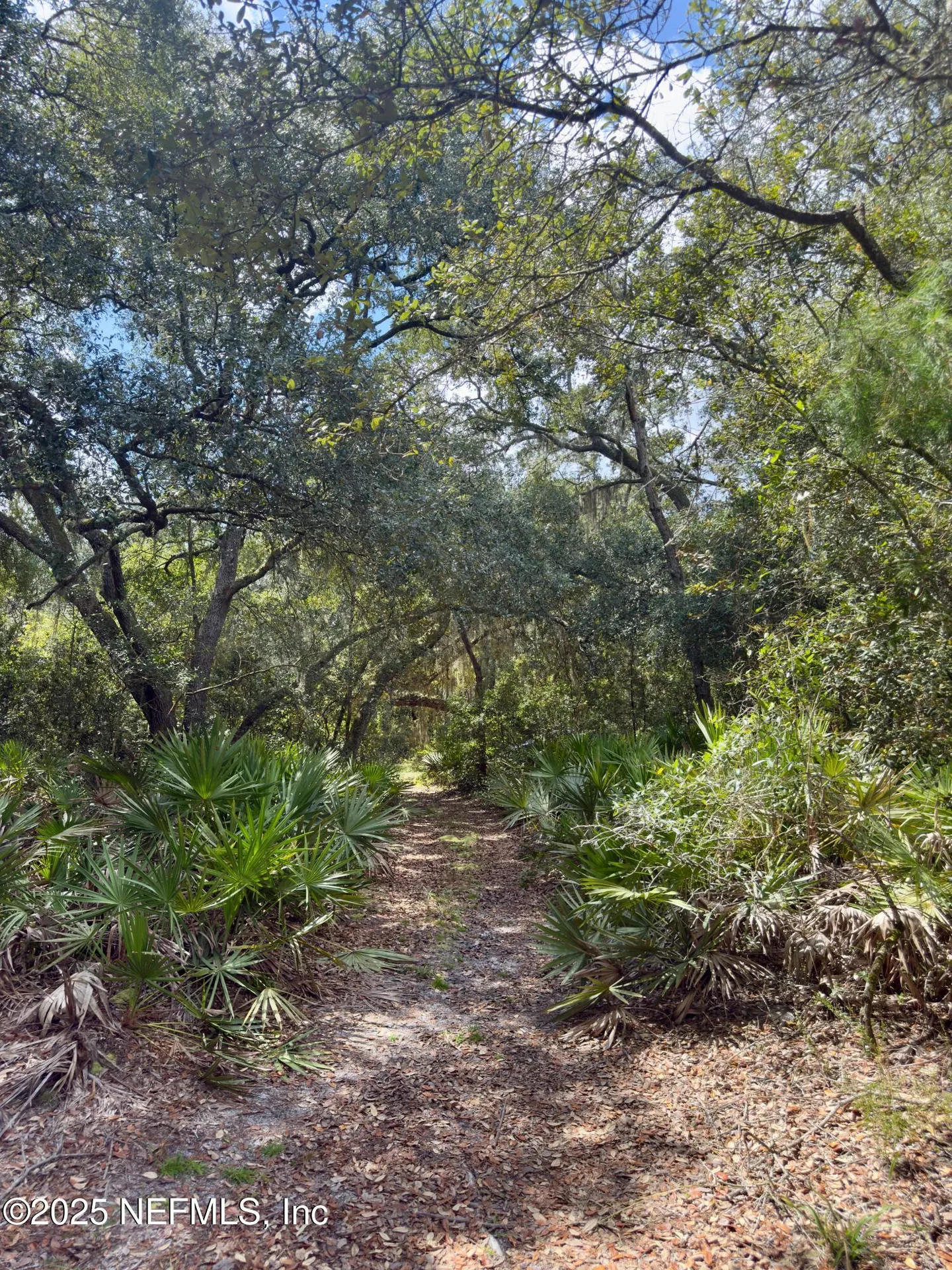 Xxx Nettles Road Florahome FL 32140