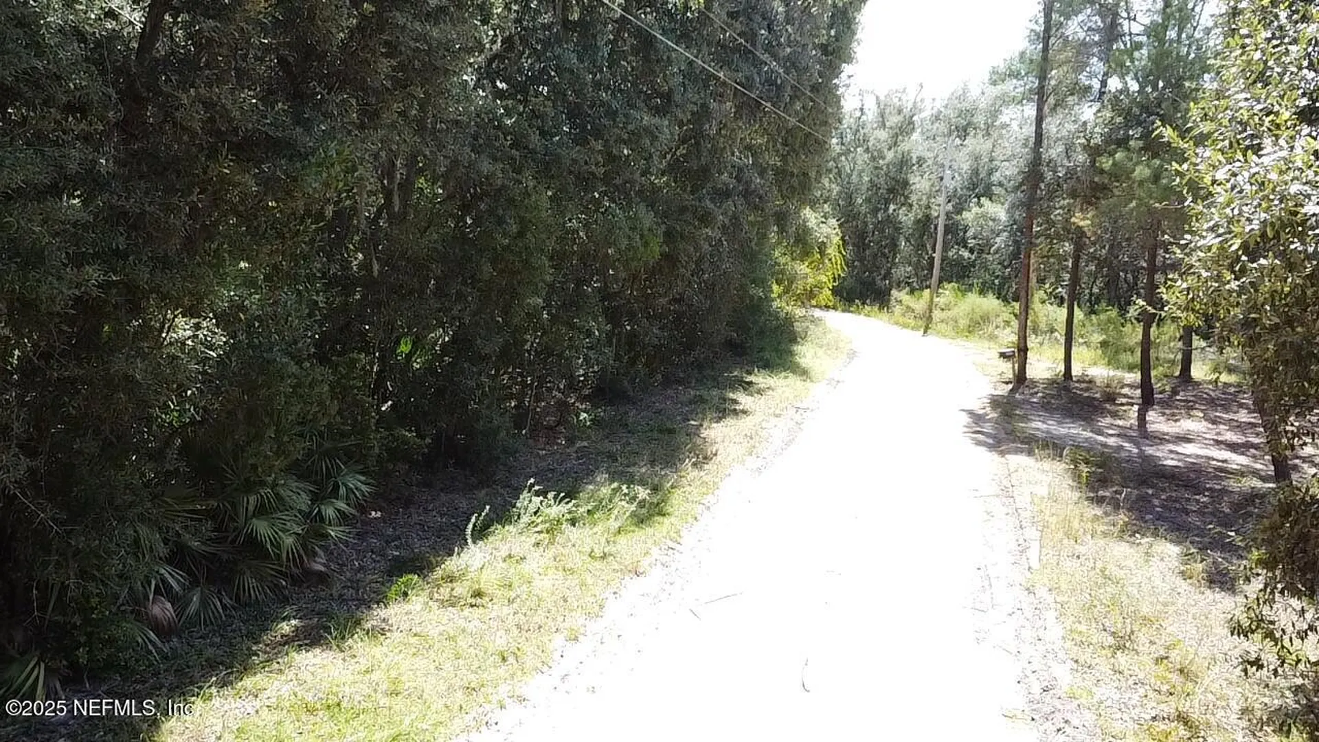 Xxx Nettles Road Florahome FL 32140