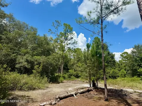 Xxx Nettles Road Florahome FL 32140