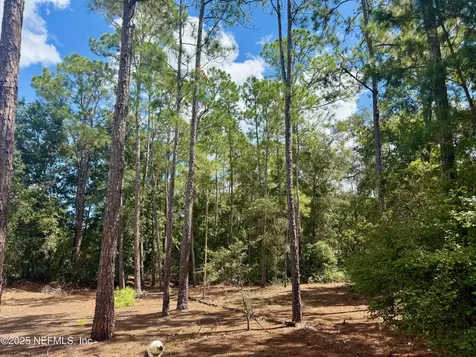Xxx Nettles Road Florahome FL 32140