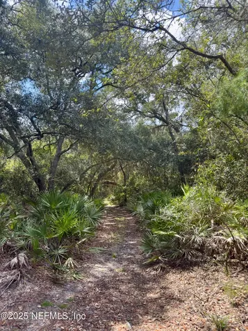 Xxx Nettles Road Florahome FL 32140