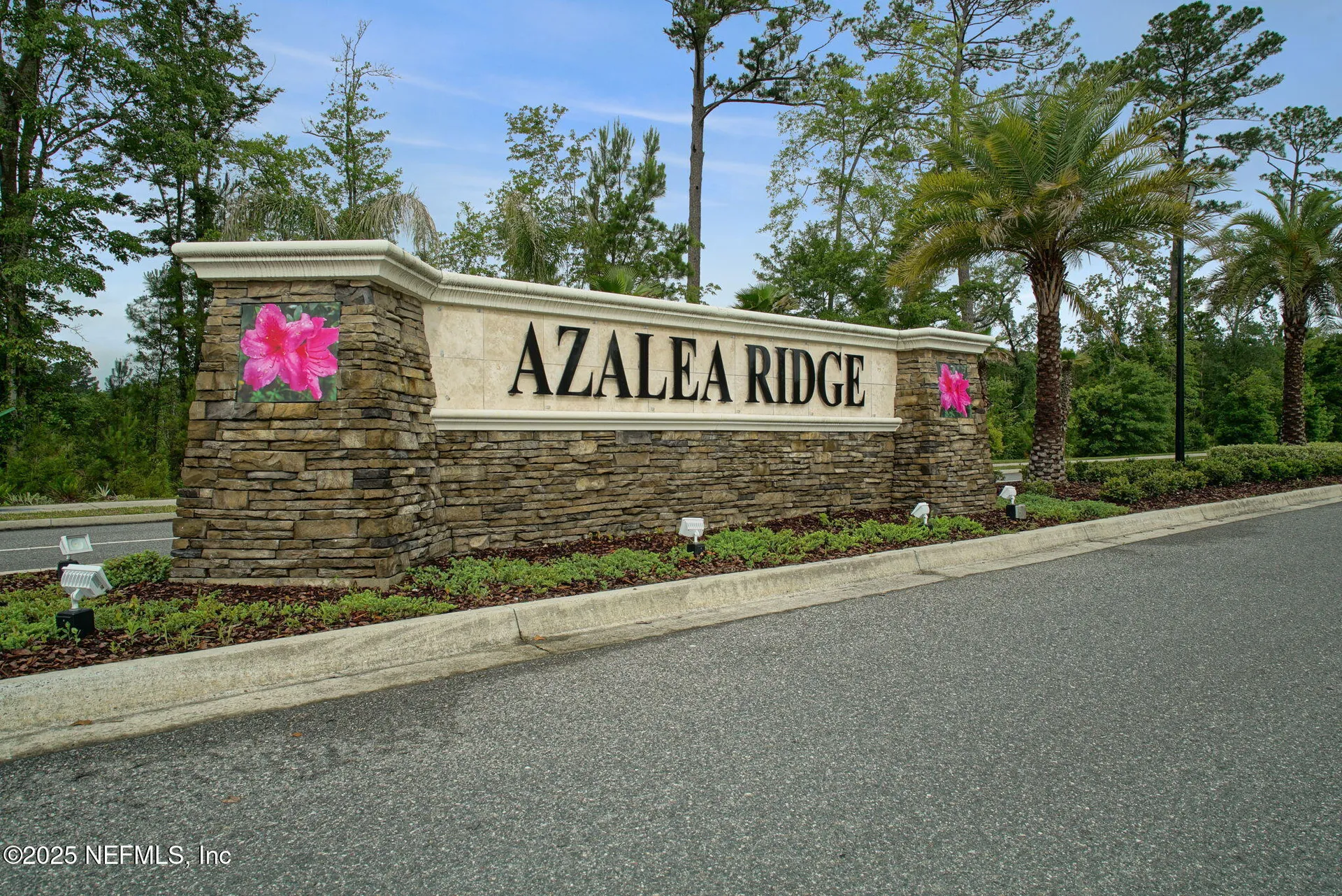 4368 Green River Place Middleburg FL 32068