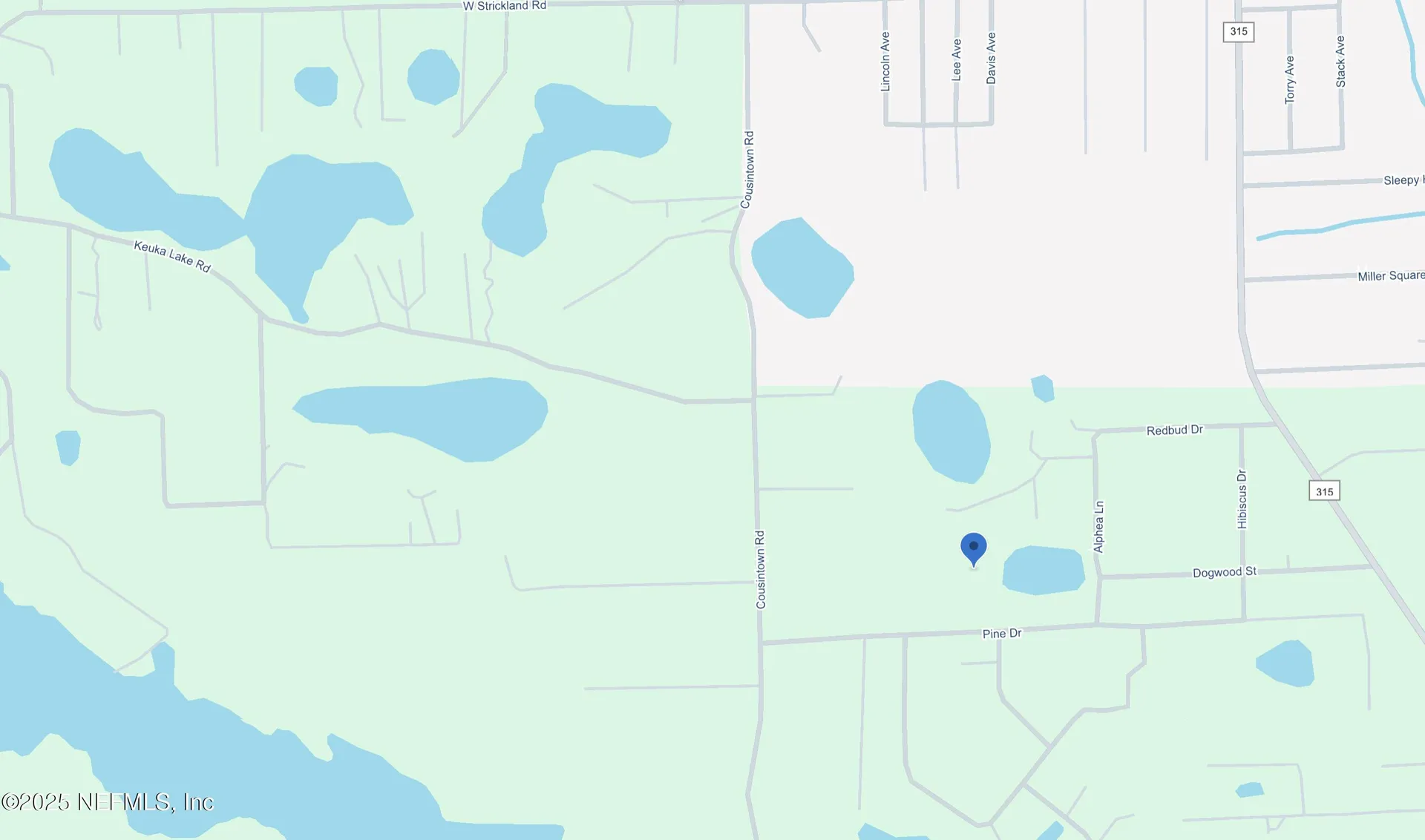 0 Pine Drive Interlachen FL 32148