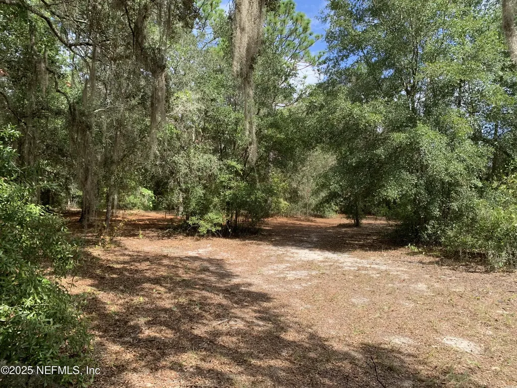 114 & 116 Willow Street Hawthorne FL 32640
