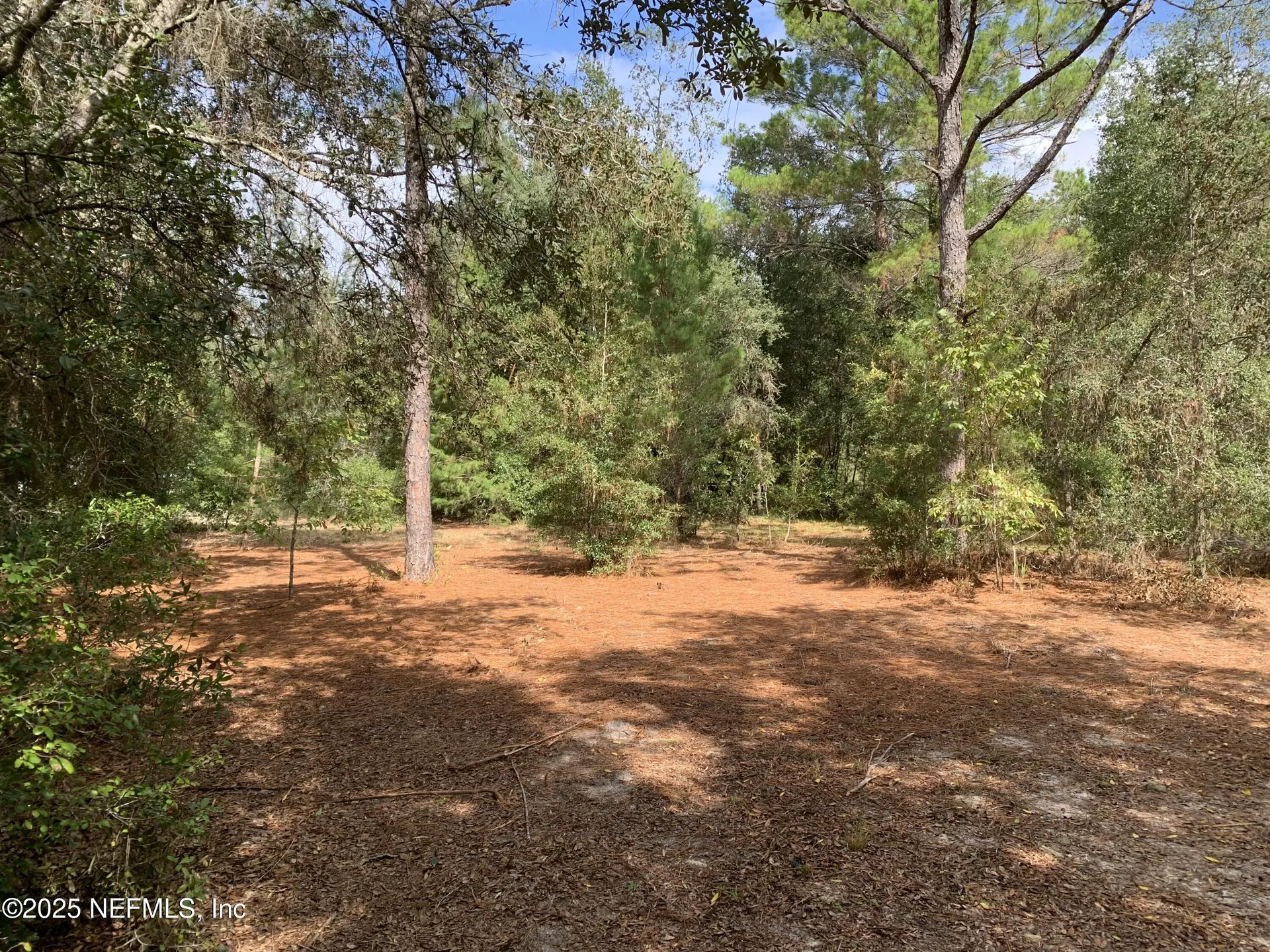 114 & 116 Willow Street Hawthorne FL 32640