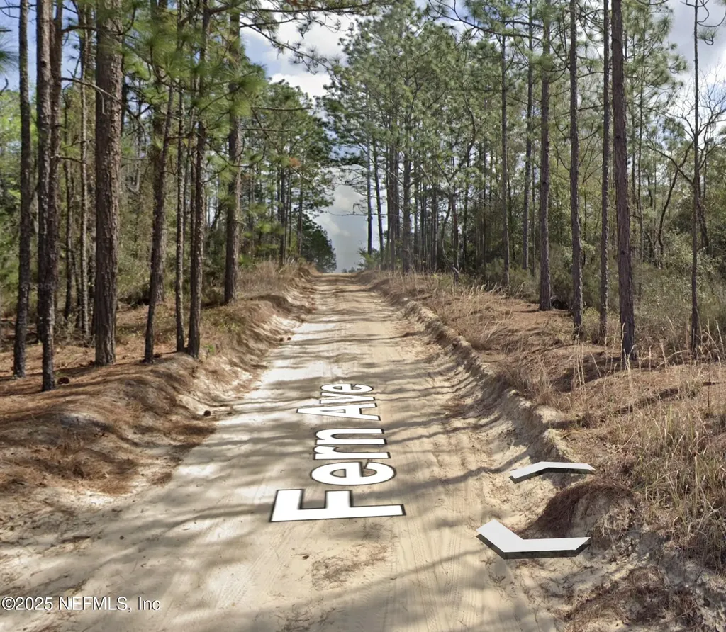00 Fern Avenue Interlachen FL 32148