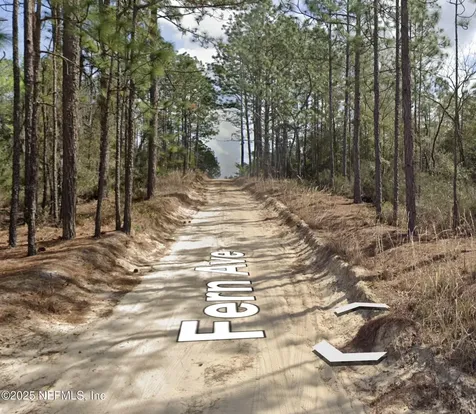 00 Fern Avenue Interlachen FL 32148