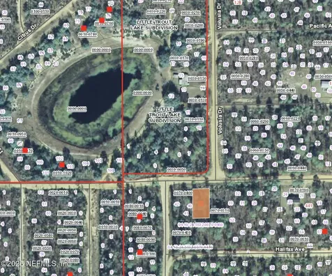 00 Fern Avenue Interlachen FL 32148