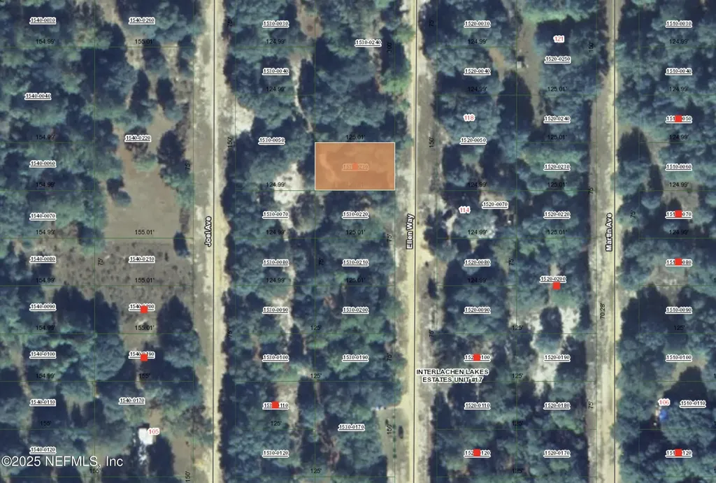 00 Ellen Way Interlachen FL 32148