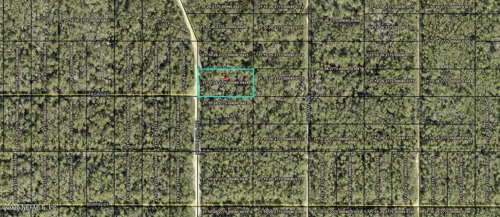 0 Kirchherr Avenue Hastings FL 32145