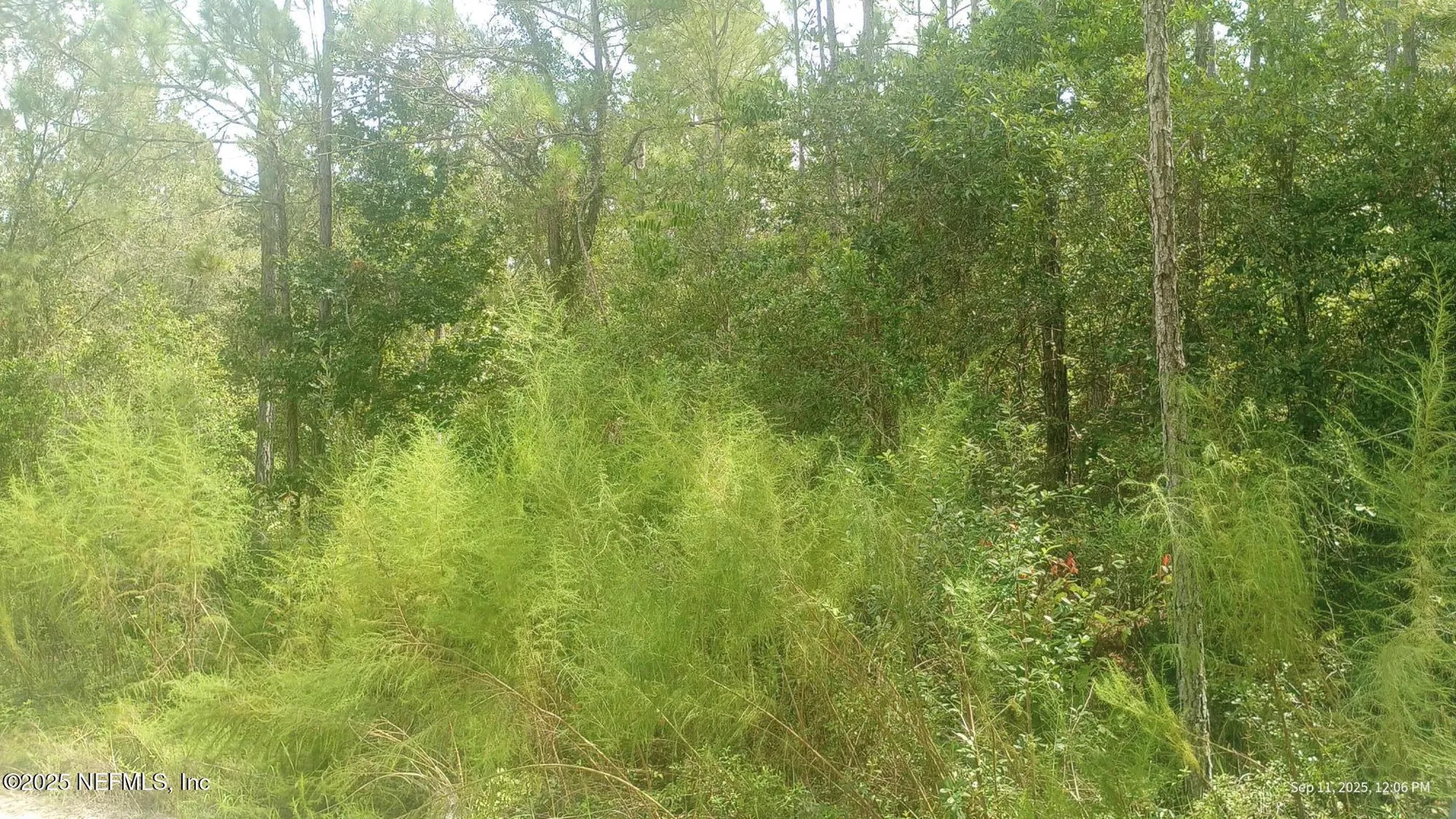 0 Kirchherr Avenue Hastings FL 32145