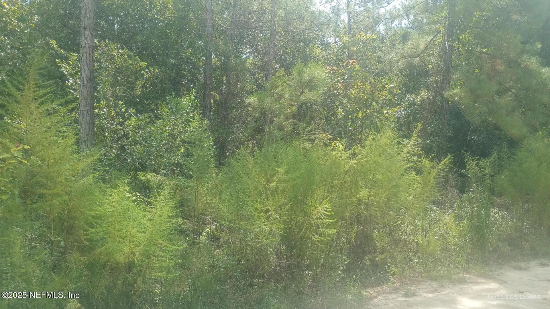 0 Kirchherr Avenue Hastings FL 32145
