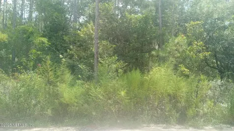 0 Kirchherr Avenue Hastings FL 32145
